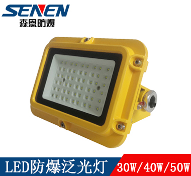 30W40W50W隔爆型led防爆泛光燈 30W40W50W隔爆型led防爆泛光燈