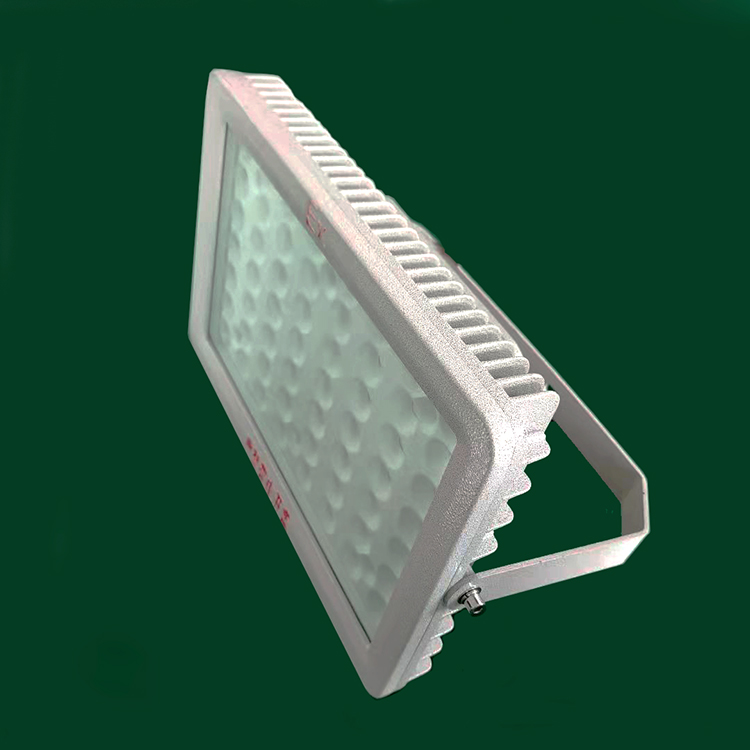 BSX86-C防爆LED燈100W BSX86-C防爆LED燈100W